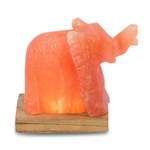 LED-Salzleuchte Elefant der Marke HIMALAYA SALT DREAMS