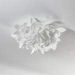 Deckenlampe von Slamp, in der Farbe Weiss, aus Kunststoff, andere Perspektive, Vorschaubild
