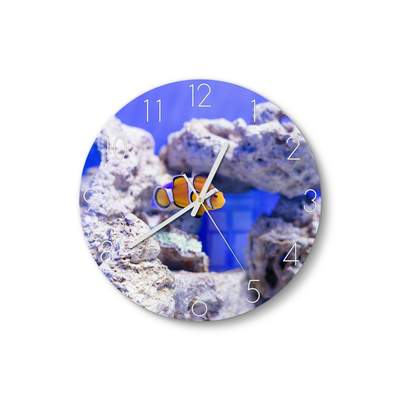 Preisvergleich für DEQORI Wanduhr der Meer\' GTIN: (Glas in Ladendirekt Sicherheitsglas, im Wand Orange, modern Farbe | Küchenuhr), 4067676239956 \'Clownfisch 30x50x30 cm, Design Uhr BxHxT aus Glasuhr