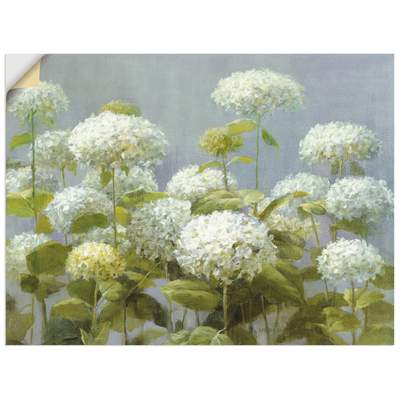 Preisvergleich für Artland Wandbild »Weißer Hortensien Garten«, Blumen, (1  St.), gedruckt, BxT 40x30 cm, SKU: 48364233 | Ladendirekt