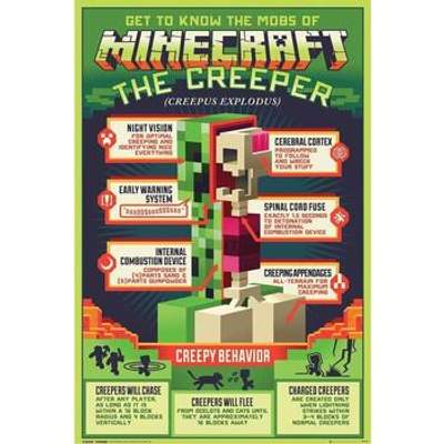 im Ladendirekt | kaufen Minecraft Poster Preisvergleich bei Günstig