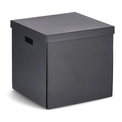 Rutaqian Aufbewahrungsbox Aufbewahrungsbox mit Deckel, Faltbare  Aufbewahrung Boxen, Matt