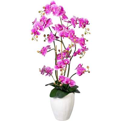 Lila Blumentöpfe im Preisvergleich | kaufen bei Ladendirekt Günstig