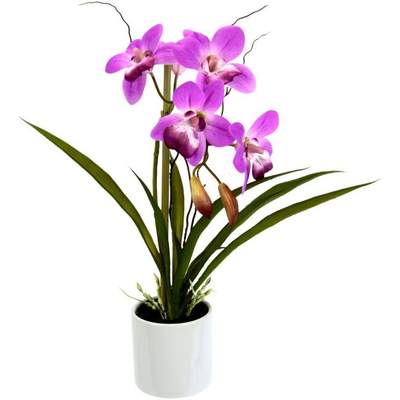 Preisvergleich für I.GE.A. Kunstorchidee Orchidee, (1 St.), im Keramiktopf,  BxHxT 18x1x33 cm, in der Farbe Lila | Ladendirekt