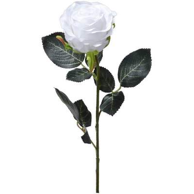 White wo Kunstpflanzen im Preisvergleich | Günstig bei Ladendirekt kaufen | Kunstblumen