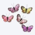 Deko-Schmetterlinge mit der Marke NKD