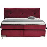 Boxspringbett von GALLERY M branded by Musterring, in der Farbe Rot, aus Massivholz, andere Perspektive, Vorschaubild