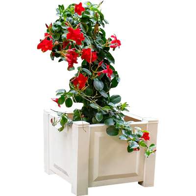 Preisvergleich für Blumenkübel aus Kunststoff mit Spalier, BxHxT 100x140x43  cm, in der Farbe Grau, GTIN: 4013351471050 | Ladendirekt