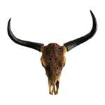 Stierkopf Bull der Marke Michael Noll