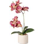 Kunstorchidee Orchidee der Marke Creativ Green