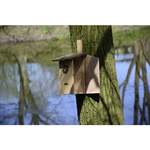 Vogelhaus von Dobar, in der Farbe Braun, aus Massivholz, andere Perspektive, Vorschaubild