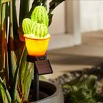 Solarleuchte Kaktus, der Marke Schneider Home