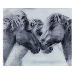 Glasrückwand Horses der Marke Wenko