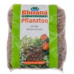 Pflanze von Blusana, in der Farbe Braun, andere Perspektive, Vorschaubild