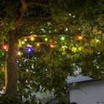 Glühbirnen-Lichterkette 10-flammig der Marke Die Saisontruhe