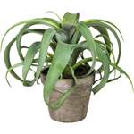 Kunstpflanze von home affaire, in der Farbe Grün, aus Kunststoff, andere Perspektive, Vorschaubild
