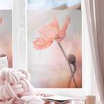 Fensterfolie Mohnblumen der Marke Bilderwelten