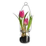 Tulpe i.Glasvase der Marke DEPOT