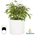 Blumentopf von Fox & Fern, in der Farbe Weiss, aus Beton, Vorschaubild