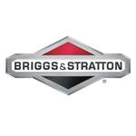 B&S Schraubendreher der Marke Briggs & Stratton