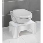 Toilettenhocker Secura der Marke WENKO