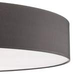 Deckenlampe von TK Lighting, in der Farbe Grau, aus Kunststoff, andere Perspektive, Vorschaubild