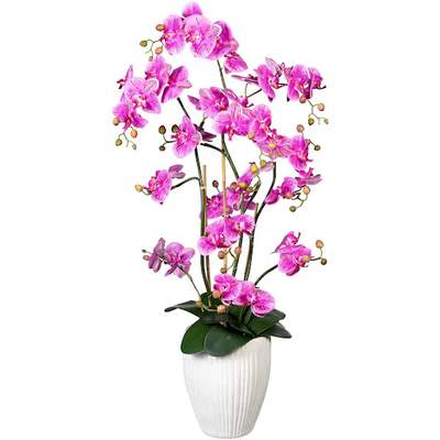 Lila Blumentöpfe im Preisvergleich | Günstig bei Ladendirekt kaufen