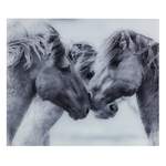 Glasrückwand Pferde der Marke Wenko