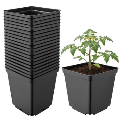 Preisvergleich für Garronda Pflanztopf Kunststoff 15 X 15 X 15 Cm (2,5l) 20er Set Eckig Mit Drainagelöchern Blumentopf Robust Pflanzentopf, BxHxT 15x15x15 cm, in der Farbe Schwarz