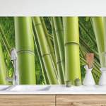 Spritzschutzpaneel Bambusbäume der Marke Sansibar Home