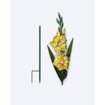 Gartenstecker Gladiole der Marke SOLITHIA