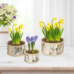 Runder Blumentopf der Marke Alpen Home