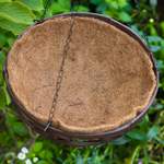 Kokoseinlage für der Marke Antikas