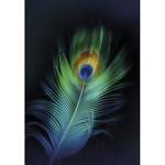 Leinwandbild Peacock der Marke Dekoria