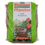 Pflanze von Blusana, in der Farbe Braun, andere Perspektive, Vorschaubild