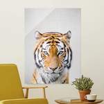 Glasbild Tiger der Marke Bilderwelten