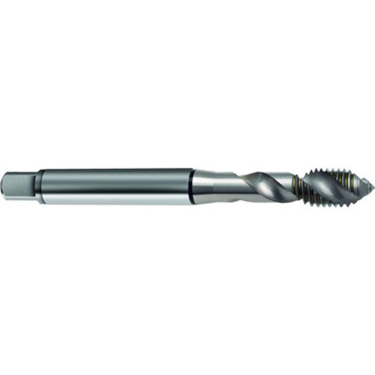 Metall Gewindebearbeitung Burkit -11 UNC Linkshänder - HSS Maschinengewindebohrer Gerade Flöten Metall Gewindebearbeitung Burkit -11 UNC Linkshänder - HSS Maschinengewindebohrer Gerade Flöten
