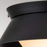 Badlampe von ELSTEAD, in der Farbe Schwarz, aus Stahl, andere Perspektive, Vorschaubild