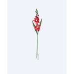 Gartenstecker Gladiole der Marke SOLITHIA