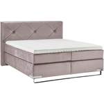 Boxspringbett von GALLERY M branded by Musterring, in der Farbe Rosa, aus Massivholz, andere Perspektive, Vorschaubild