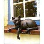 Skulptur Katze, der Marke Antikas