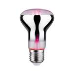 LED-Pflanzenlampe E27 der Marke Paulmann