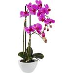 Kunstpflanze Orchidee der Marke Modern Living