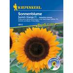 Kiepenkerl Sonnenblume der Marke Kiepenkerl