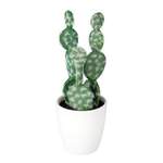 Künstlicher Kaktus der Marke viva domo