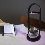 Schreibtischlampe von Näve Leuchten, in der Farbe Schwarz, aus Kunststoff, andere Perspektive, Vorschaubild