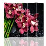 Paravent Orchidee der Marke Brayden Studio