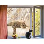 Fensterfolie Cat der Marke Bilderwelten