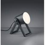 Schreibtischlampe von Trio, in der Farbe Schwarz, aus Holzwerkstoff, andere Perspektive, Vorschaubild