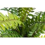Pflanze von Botanic-Haus, in der Farbe Grün, aus Kunststoff, andere Perspektive, Vorschaubild